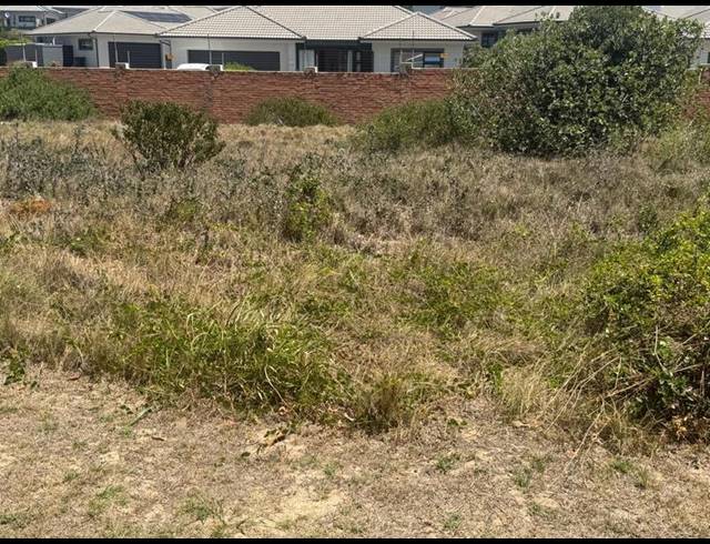 LAND FOR SALE IN DIAZ